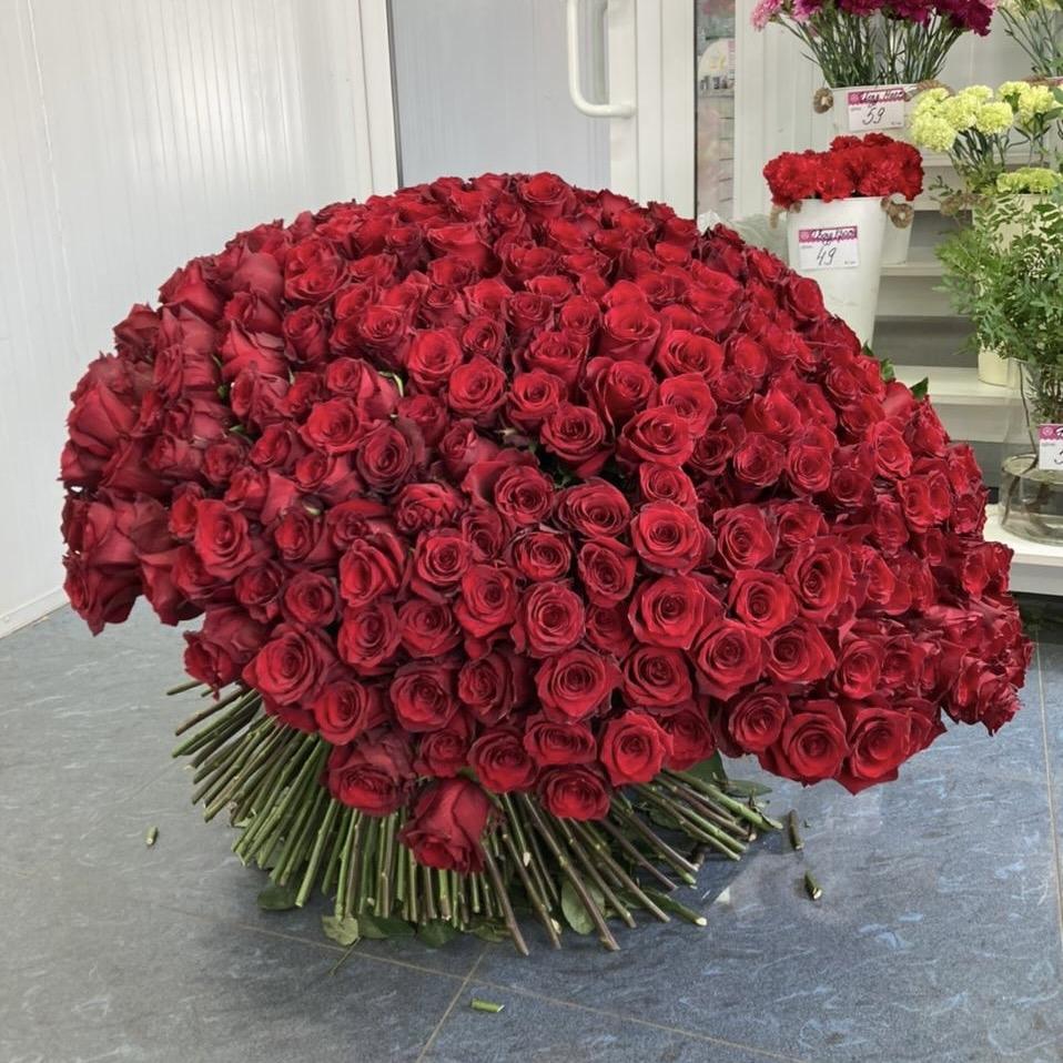 Букеты из красных роз 80 см (Эквадор) (Артикул  20604)