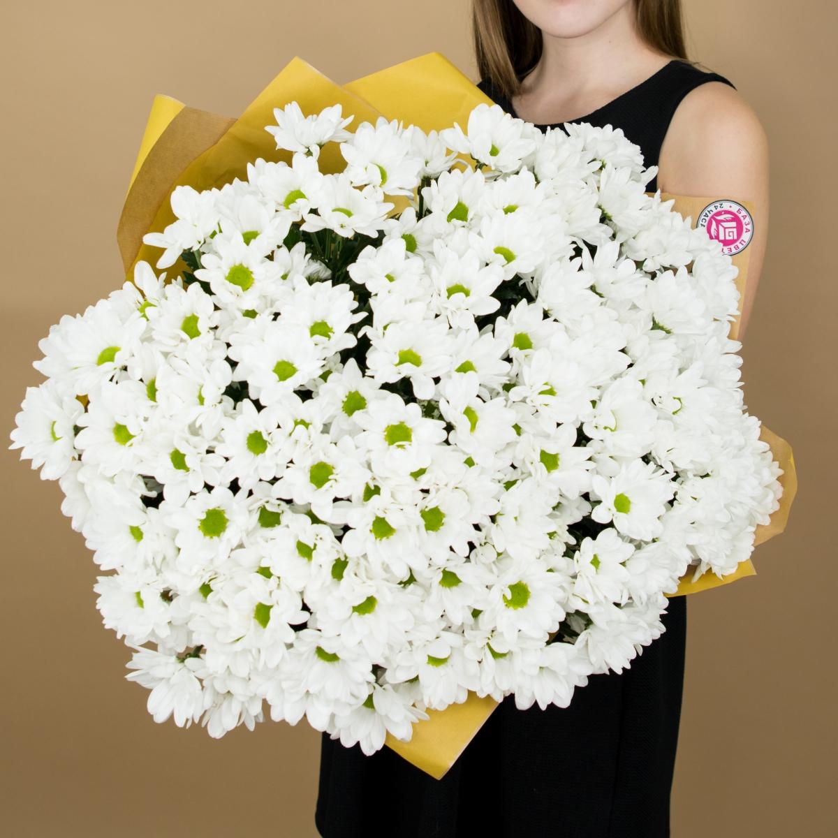 Хризантема белая (ромашка) (Артикул   306)