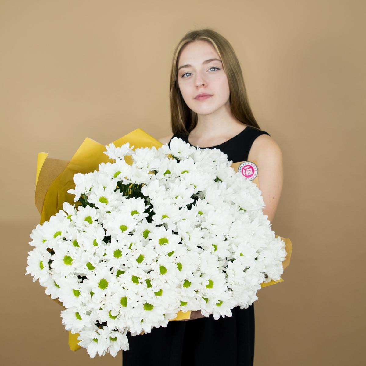 Хризантема белая (ромашка) (Артикул   306)