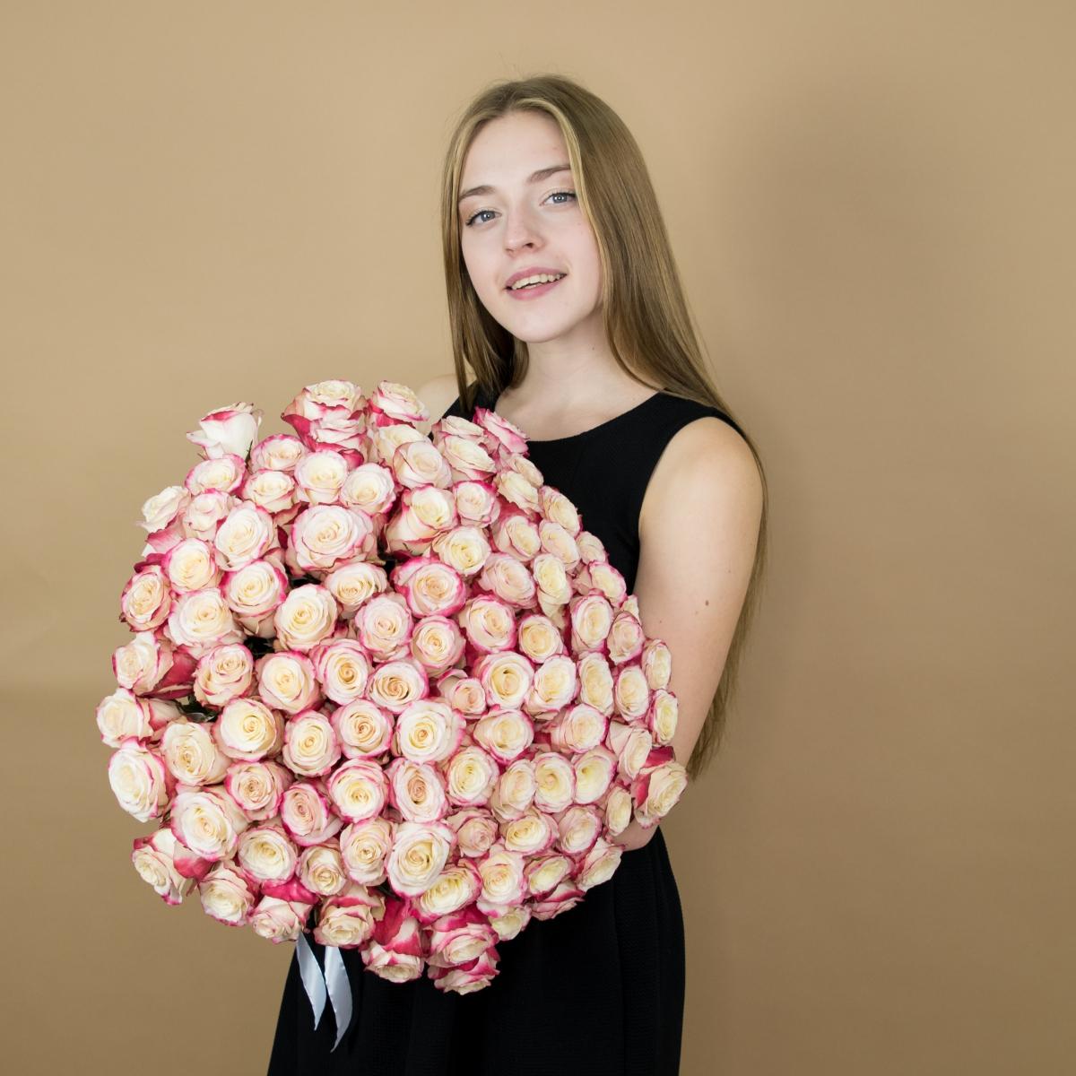 Розы красно-белые (40 см) Эквадор [articul: 51]