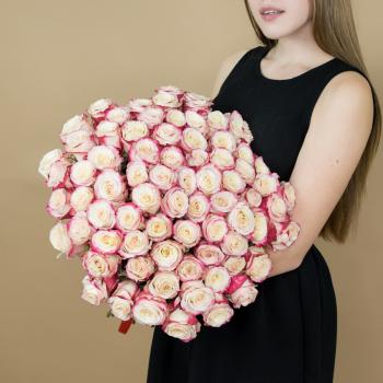 Розы красно-белые 75 шт 40 см (Эквадор) (articul  9061)
