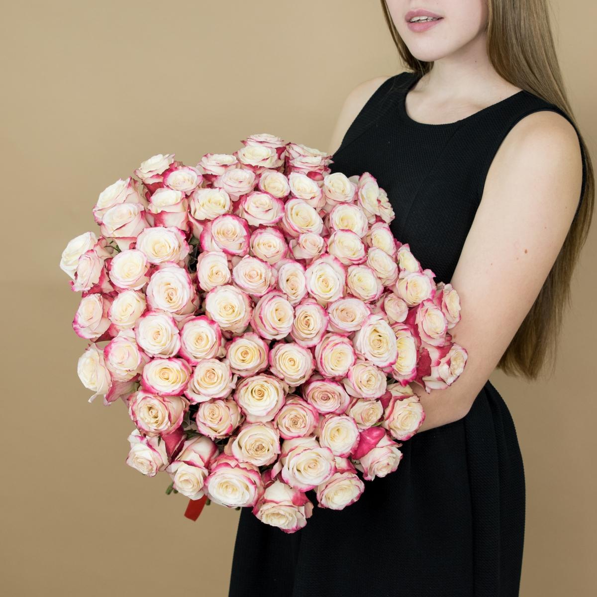 Розы красно-белые 101 шт. (40 см) код  9078