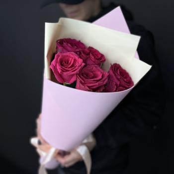 Роза розовая (Эквадор)