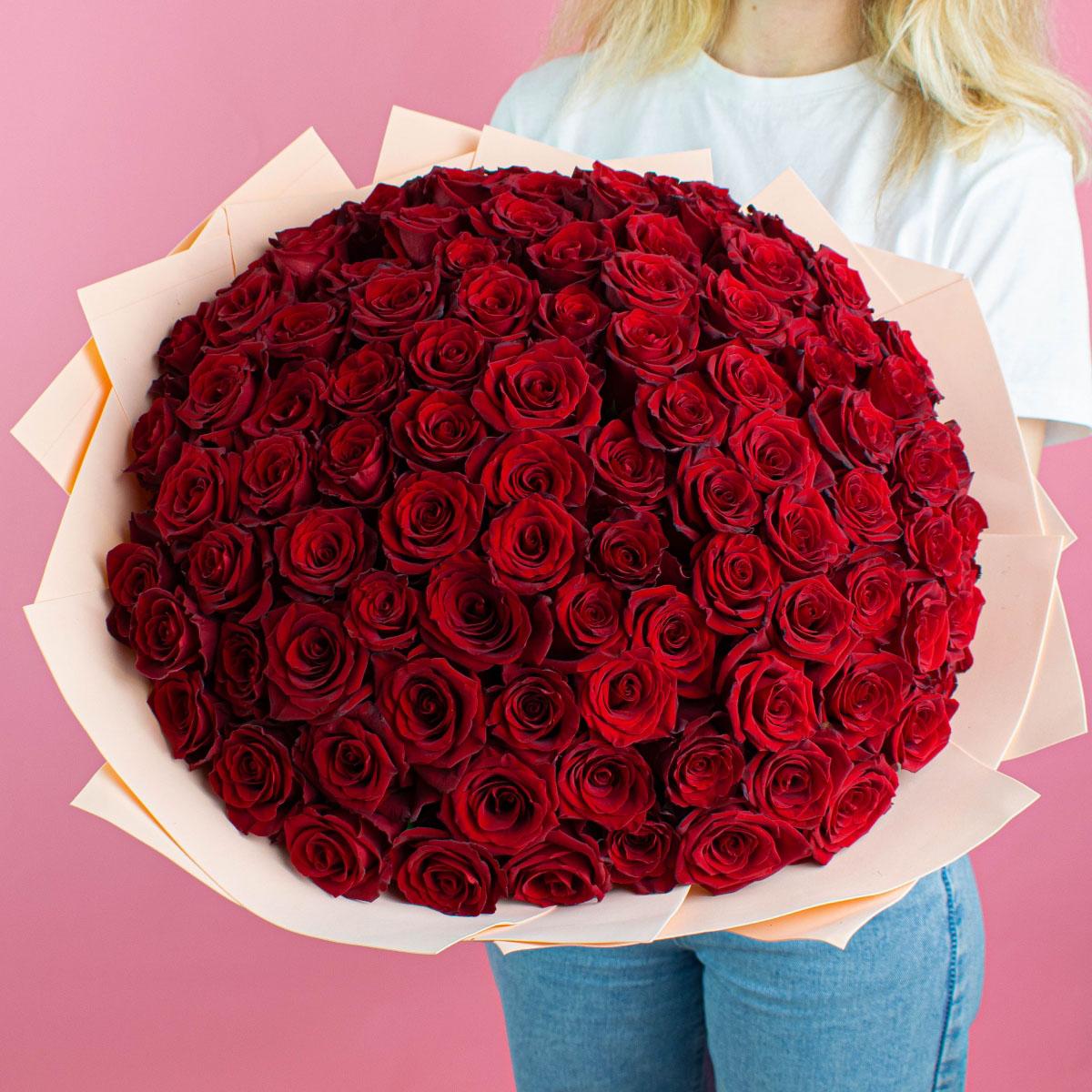 Розы Эквадор 40 см (Красный)