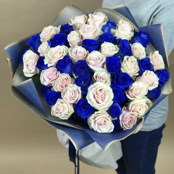 Белая и Синяя Роза 51шт 70см (Эквадор) №: 11662