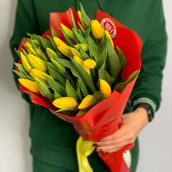 Тюльпаны желтые 25 шт (articul: 14382)