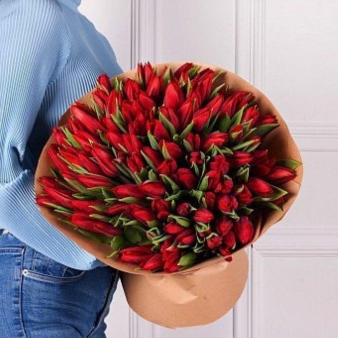 Красные тюльпаны 101 шт код товара: 14773